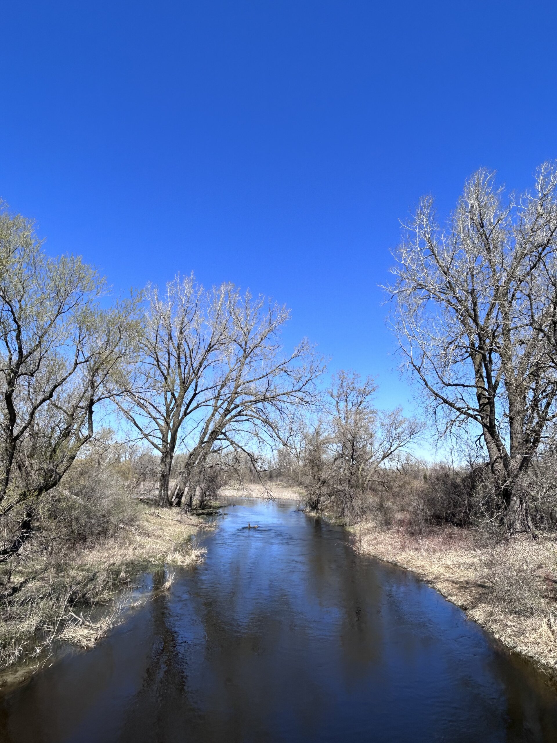 Middle Rice Creek Restoration - Rice Creek Watershed District ...